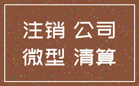 注销 公司_微型 清算