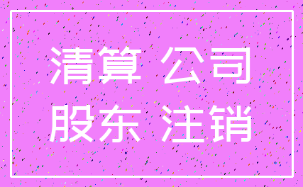 清算 公司_股东 注销