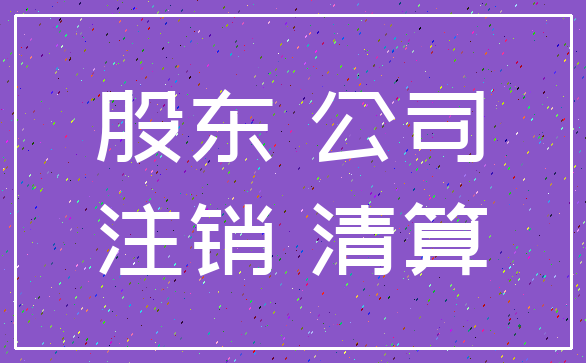 股东 公司_注销 清算