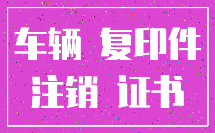 车辆 复印件_注销 证书