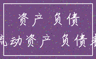 资产 负债_流动资产 负债表