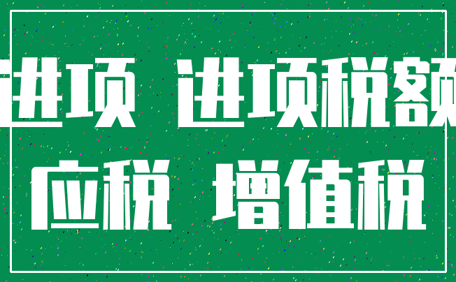 进项 进项税额_应税 增值税