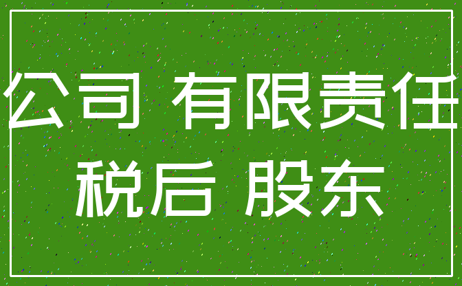公司 有限责任_税后 股东
