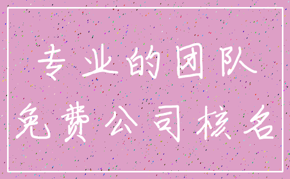 专业的团队_免费公司核名