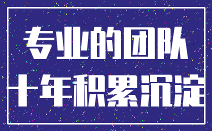 专业的团队_十年积累沉淀