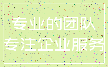 专业的团队_专注企业服务