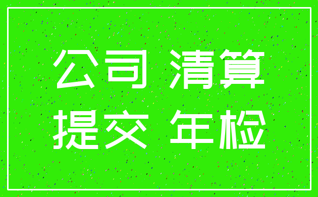 公司 清算_提交 年检