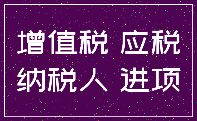 增值税 应税_纳税人 进项