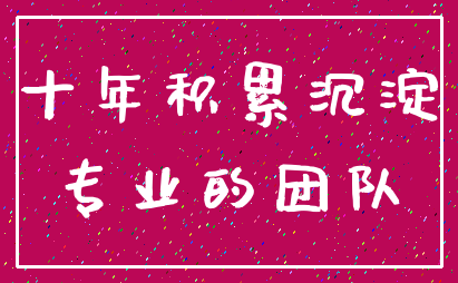十年积累沉淀_专业的团队
