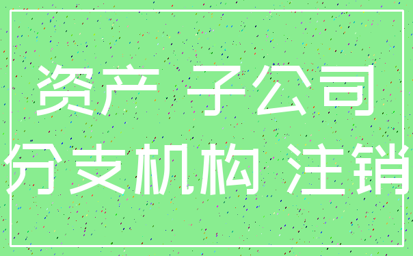 资产 子公司_分支机构 注销
