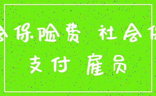 社会保险费 社会保险_支付 雇员