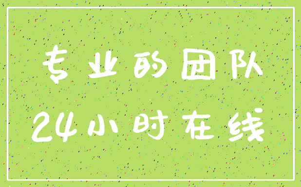 专业的团队_24小时在线