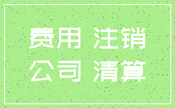 费用 注销_公司 清算