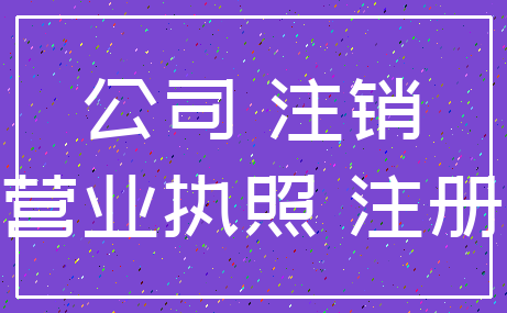 公司 注销_营业执照 注册