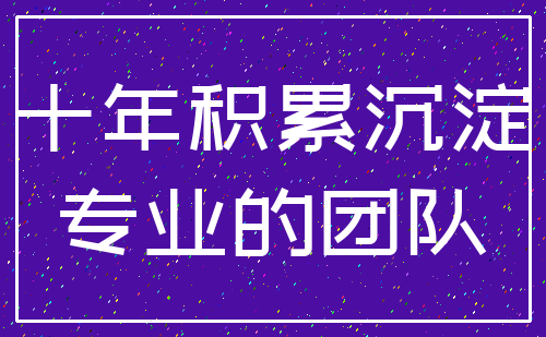 十年积累沉淀_专业的团队