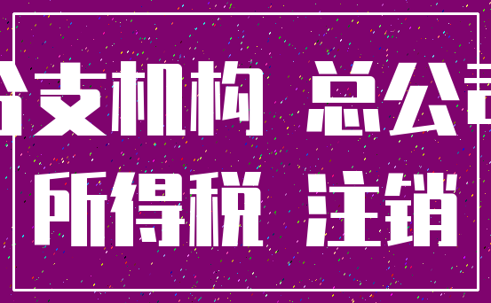 分支机构 总公司_所得税 注销