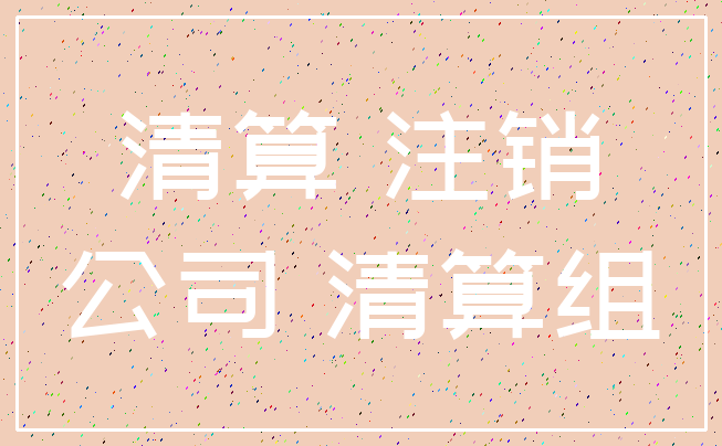 清算 注销_公司 清算组