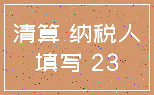 清算 纳税人_填写 23