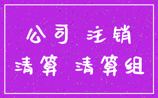 公司 注销_清算 清算组