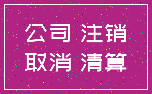公司 注销_取消 清算