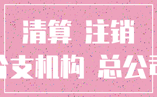 清算 注销_分支机构 总公司