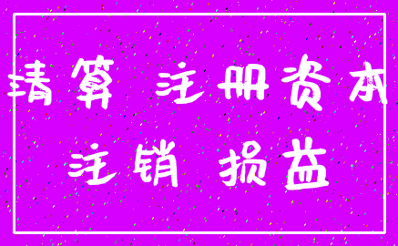 清算 注册资本_注销 损益