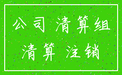 公司 清算组_清算 注销
