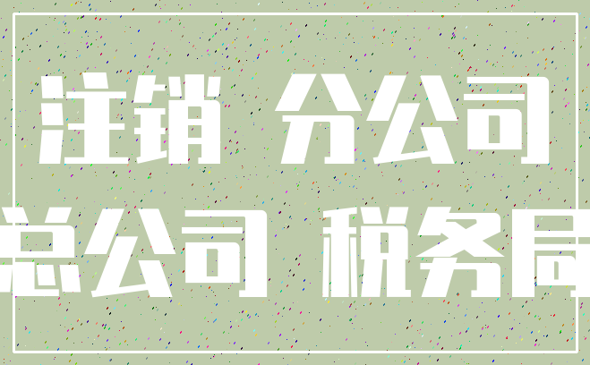 注销 分公司_总公司 税务局