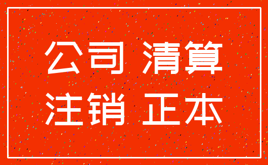 公司 清算_注销 正本