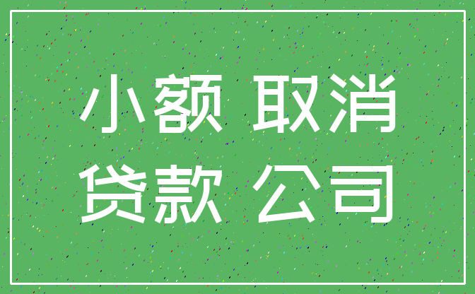 小额 取消_贷款 公司