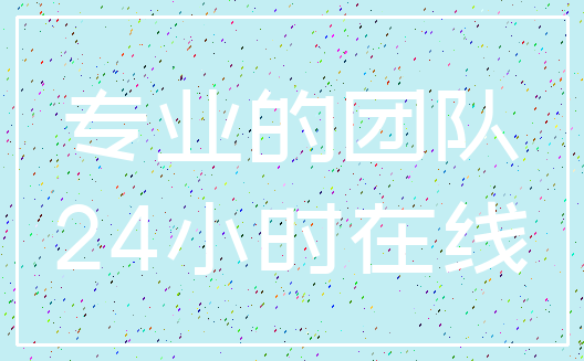 专业的团队_24小时在线