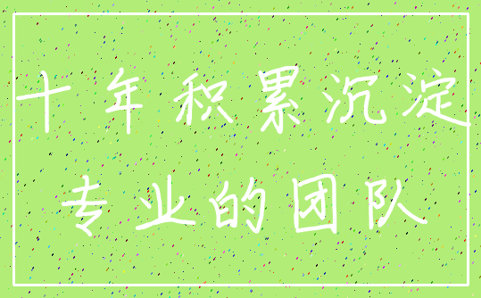 十年积累沉淀_专业的团队
