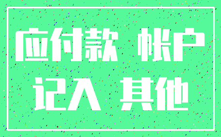 应付款 帐户_记入 其他