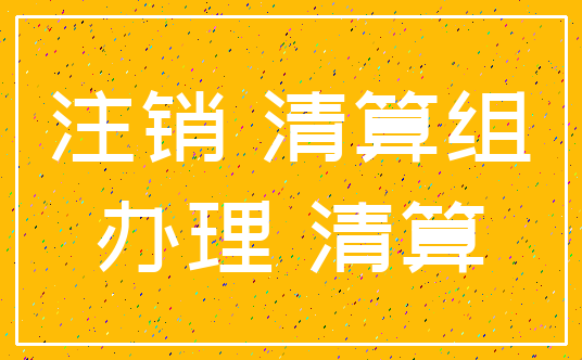 注销 清算组_办理 清算