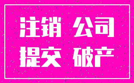 注销 公司_提交 破产