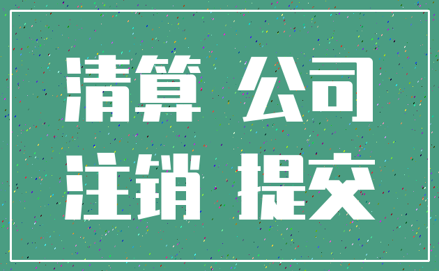 清算 公司_注销 提交
