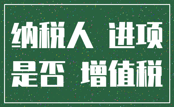 纳税人 进项_是否 增值税