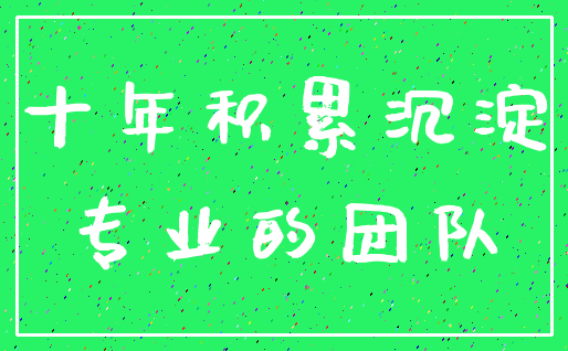 十年积累沉淀_专业的团队