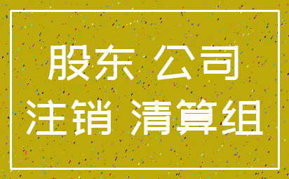 股东 公司_注销 清算组