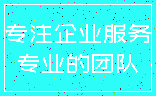 专注企业服务_专业的团队