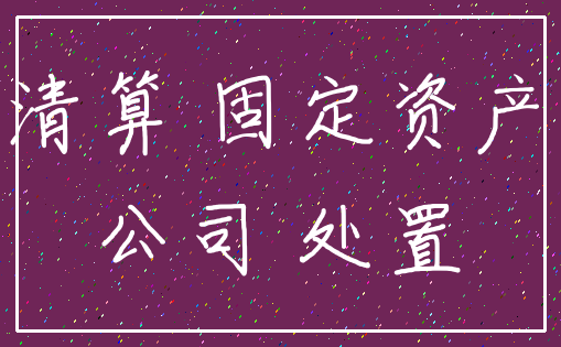 清算 固定资产_公司 处置