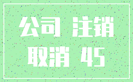公司 注销_取消 45