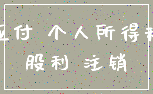 应付 个人所得税_股利 注销
