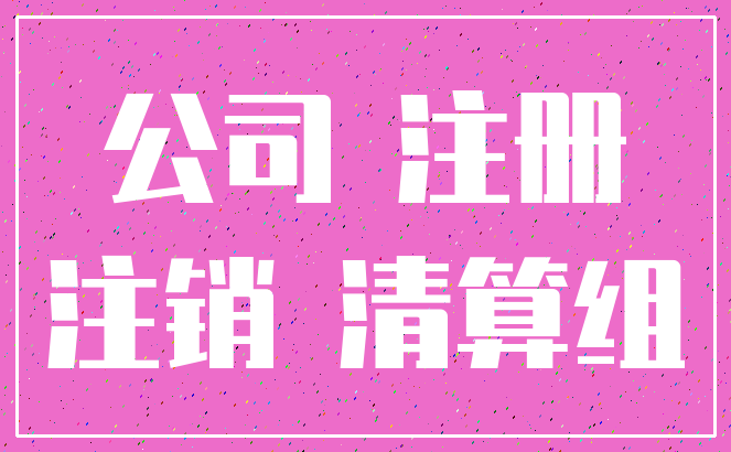 公司 注册_注销 清算组