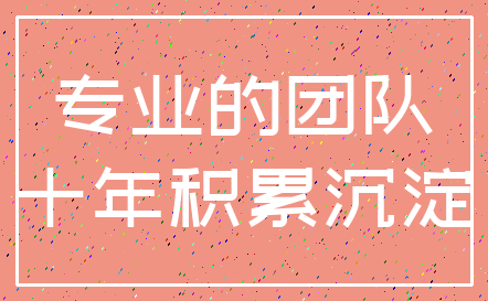 专业的团队_十年积累沉淀