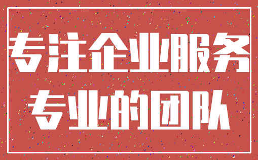 专注企业服务_专业的团队