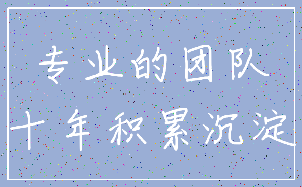 专业的团队_十年积累沉淀