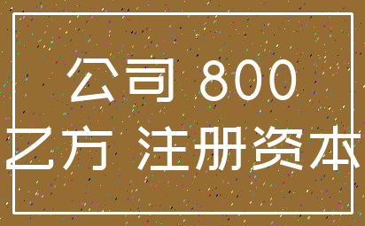 公司 800_乙方 注册资本