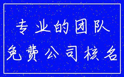 专业的团队_免费公司核名
