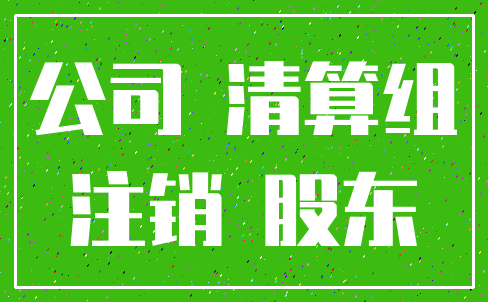 公司 清算组_注销 股东